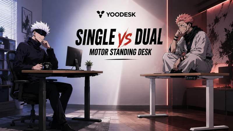 Single vs Dual Motor Standing Desk: Real Differences