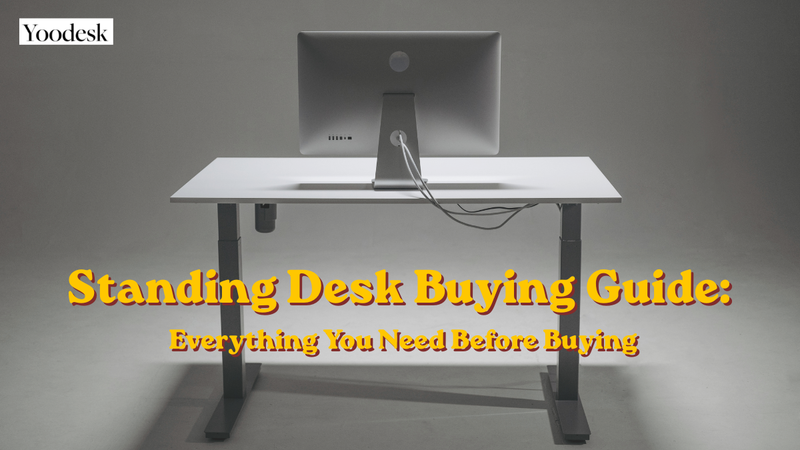 Standing Desk Buying Guide: Everything You Need Before Buying