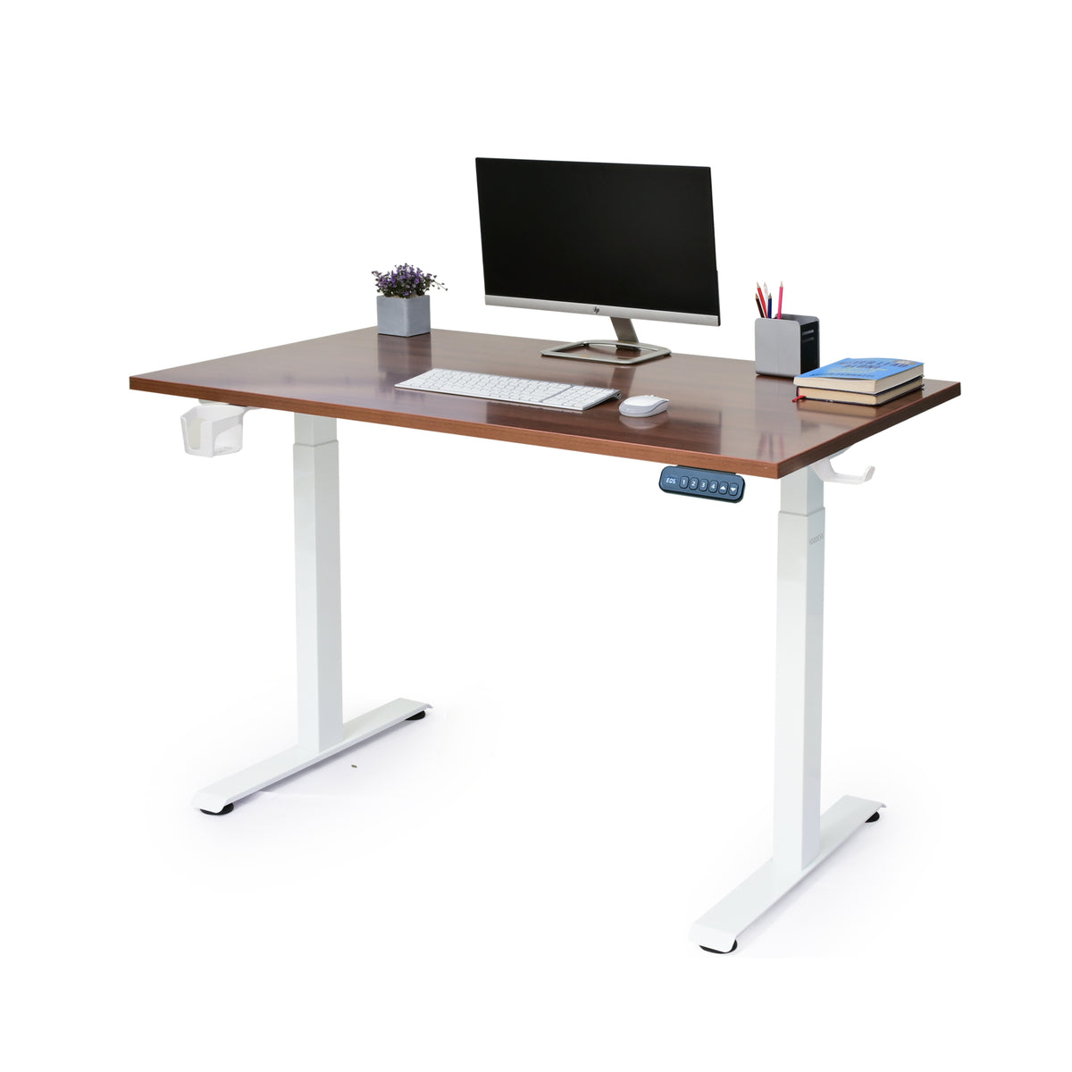 YooDesk Lite Series single motor 2-stage height adjustable standing desk in white frame with Walnut tabletop