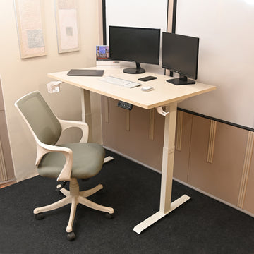YooDesk Lite Series single motor 2-stage height adjustable standing desk